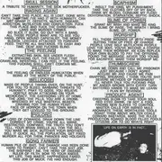 7inch Vinyl Single - Thrak - Thrak