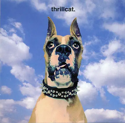 Thrillcat - (oneword)
