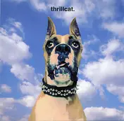 Thrillcat - (oneword)