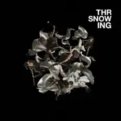 throwing snow - Avarice