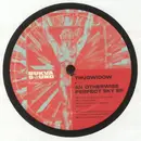 12inch Vinyl Single - Thugwidow - An Otherwise Perfect Sky EP
