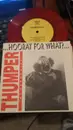 7inch Vinyl Single - Thumper Inc. - Hooray For What? - Red, red vinyl