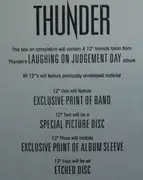 12inch Vinyl Single - Thunder - Low Life In High Places