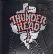 Thunderhead - Busted at the Border
