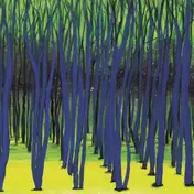 Tim Engelhardt - Rooted