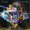 Double LP - Tim Exile - Listening Tree - 2LP+CD