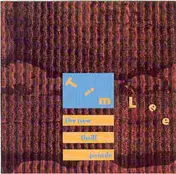 Tim Lee - The New Thrill Parade