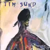 CD - Tim Sund - In The Midst Of Change - Digipak