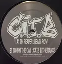 12inch Vinyl Single - Tim Reaper / Tommy The Cat - Hit By A Windmill