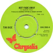 Tim Rice - Not Fade Away