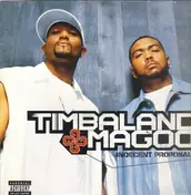 Timbaland - Indecent Proposal