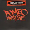 12'' - Timbaland & Magoo - We At It Again - Promo