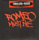 12'' - Timbaland & Magoo - We At It Again - Promo