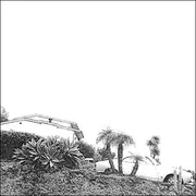 CD - Timber Timbre - Hot Dreams - Cardboard sleeve