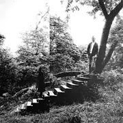 LP - Timber Timbre - Timber Timbre