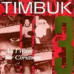 Timbuk 3 - All I Want For Christmas