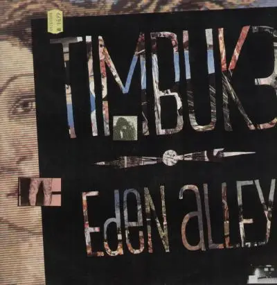 Timbuk 3 - Eden Alley