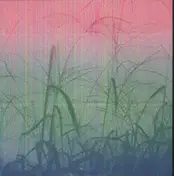 Tim Burgess - A GAIN