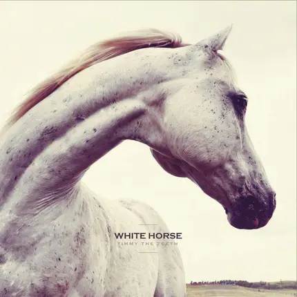 Timmy The Teeth - White Horse