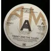 Timmy & The Tulips / The Chesterfields - Mr Blue / Why Do Fools Fall In Love