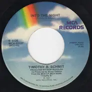 Timothy B. Schmit - Boys Night Out / Into The Night