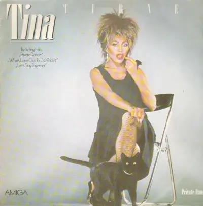 Tina Turner - Private Dancer