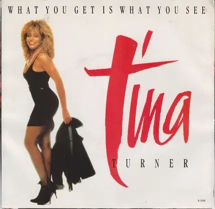 Tina Turner - What You Get Is What You See
