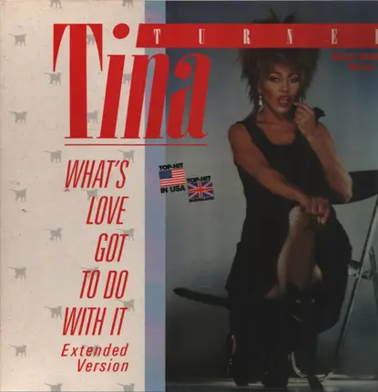 Tina Turner - What's Love Got to Do with It