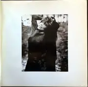 Double LP - Tina Turner - Simply The Best
