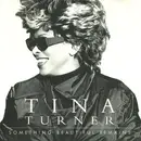CD Single - Tina Turner - Something Beautiful Remains
