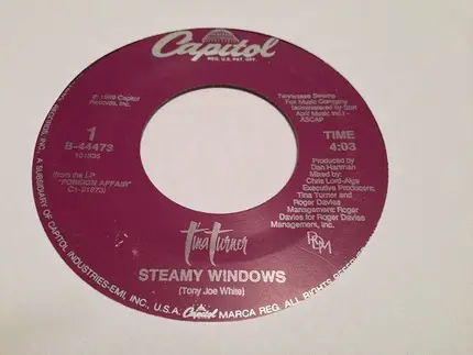Tina Turner - Steamy Windows