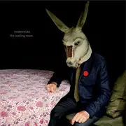 LP - Tindersticks - The Waiting Room - Gatefold, incl booklet, 180g Vinyl