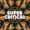 LP - Ting Tings - Super Critical - Picture Disc - Handnumbered 1000 Copies