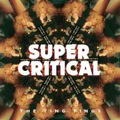 The Ting Tings - Super Critical - Picture Disc