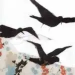 Tinkertoy - ELECTRIC WILDERNESS