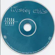 CD - Tinsley Ellis - Storm Warning