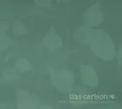 Tias Carlson - What I Have Gathered from Coincidence