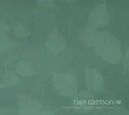 Tias Carlson - What I Have Gathered from Coincidence