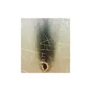 12inch Vinyl Single - Tiefschwarz Feat. Khan - Do Me