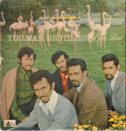 Tielman Brothers - Little Bird