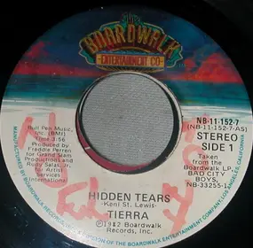 Tierra - Hidden Tears