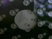 12inch Vinyl Single - Tigah - Uhh, Ohhhh (Go Head)