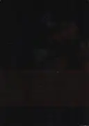 DVD-Box - Tiger Woods - Tiger - The Authorized DVD Collection - Still Sealed / Region 1