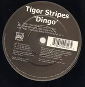 Tiger Stripes - DINGO