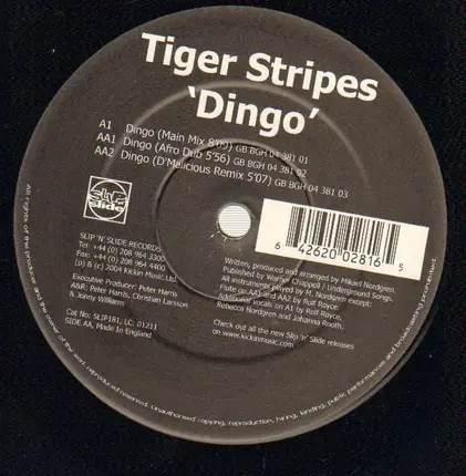 Tiger Stripes - DINGO