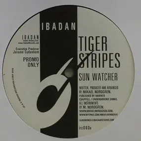 Tiger Stripes - Sun Watcher