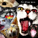 7inch Vinyl Single - Tilly And The Wall - Pot Kettle Black