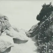 Tilman - MILD WESTERN EP