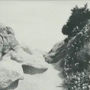 12inch Vinyl Single - Tilman - Mild Western EP