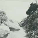 12inch Vinyl Single - Tilman - Mild Western EP